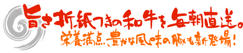 �|���܂莆���̘a���𖈒������B